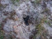 krater z fragmentem worka