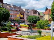 Rynek