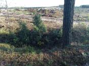widok na fundament w 2023