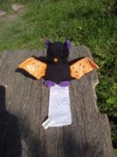 GoGacekGC-Szczebrzeszyn-Chrząszcz-2