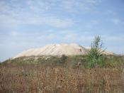 mijana po drodze Ayers Rock ...