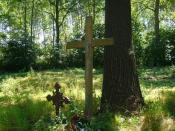 krzyże na cmentarzu