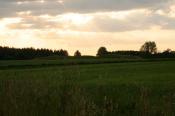 Grodzisko