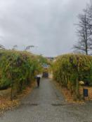 Miejsce planowanego spotkania 