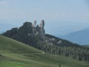 Widok oczami skrzynki