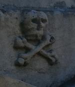 Wyimek