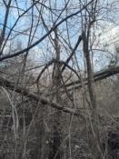 Okolice miejsca katastrofy 3