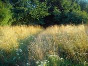 Droga do skrzynki :) Szukaj na skarpie ;)