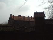 Prawie jak Bogobigowe