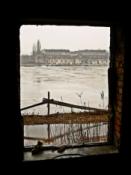 misio i jego okno na świat