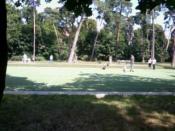 Widok z miejsca ukraycia , a zarazem sportowa strefa