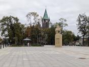 rynek1