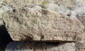 piaskowiec kwarcytowy - wyraźnie widoczne skamieniałe warstwy piasku