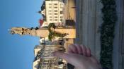 Rynek