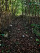 The way to the cache