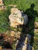 Reaktywacja: Reaktywacja