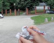 Zdjęcie