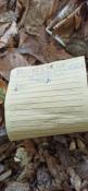 Wpis w logbook