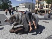 Zdjęcie