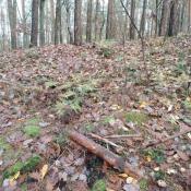 Spoiler 12.2025: Nowe miejsce ukrycia kesza. Proszę zapakować w tkaninę maskujaca.