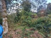 Obecnie tak wygląda zdjęcie 