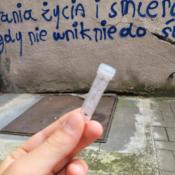 Fotolog