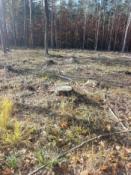 Spojler - zrobiony ze ścieżki.