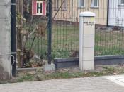 Strefa poszukiwań.