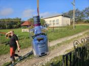 Zdjęcie 1