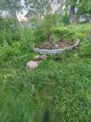 Fountain in a swamp