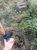 Kesz, i widok na pieniek w którym jest schowany