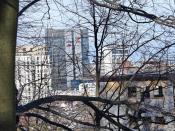 Widok 1