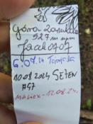 Logbook