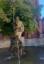 to nie Neptun... to ryby