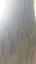Zdjęcie 1