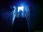 the LIGHT