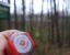 Karpaty3