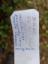 Wpis w logbook: Wpis w logbook