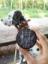 geocasche zamiast geocache :-)