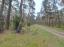 Górka
