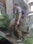 fotka 2
