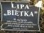 Lipa Bietka