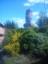 fotka
