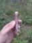 Fotolog
