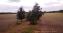 Panorama z góry
