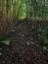 The way to the cache