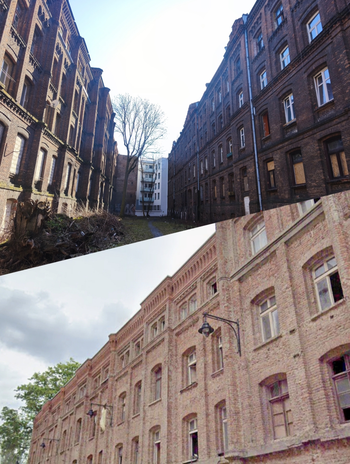 2103B959-C3C7-CB8C-4136-649FA71D566D.jpg (1220×1616)