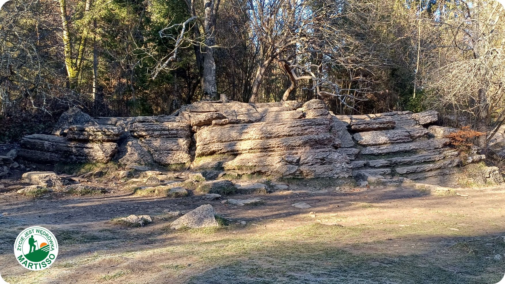 AFACE21F-6046-7383-5896-83F4F4F5CF2D.jpg
