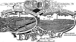 Logo briggs