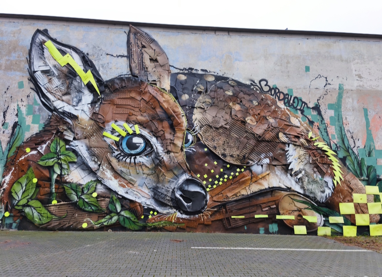 90AD2843-F4CC-ECF1-88A3-E789652A9120.jpg (1219×883)